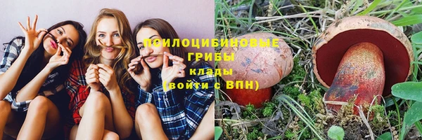 гидра Алексеевка