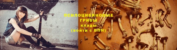 гидра Алексеевка